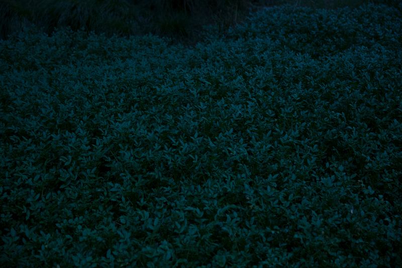 © Catalina Calvo Doval - Image from the poetry in daily life photography project