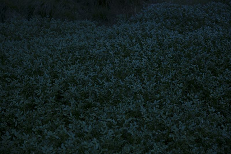 © Catalina Calvo Doval - Image from the poetry in daily life photography project