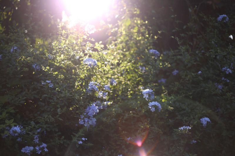 © Catalina Calvo Doval - Image from the poetry in daily life photography project