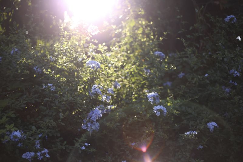 © Catalina Calvo Doval - Image from the poetry in daily life photography project