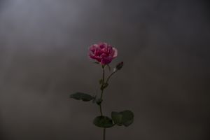 poetry in daily life
