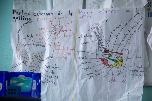 © kai ale - Image from the Educación en la Sierra Mazateca photography project