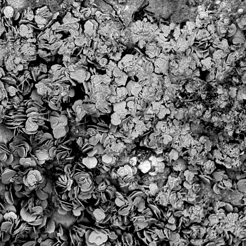 © Rasmus Degnbol - Zinc Oxide- New Delhi, India2019