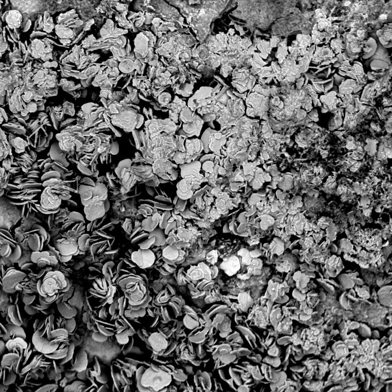 © Rasmus Degnbol - Zinc Oxide- New Delhi, India2019