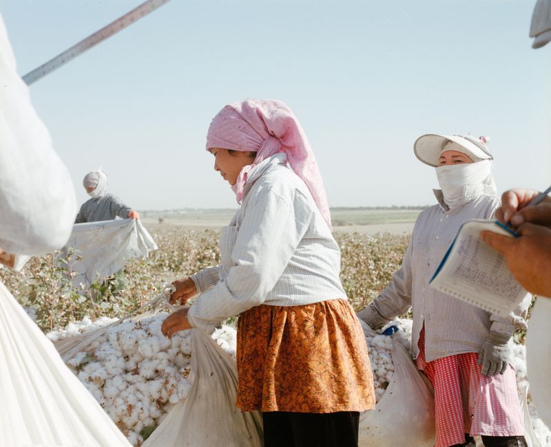 © Kamila Rustambekova - Image from the The Home, The Field And The Flux photography project