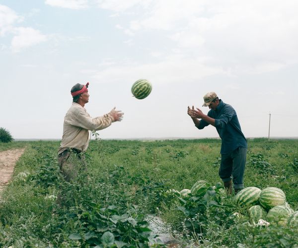 © Kamila Rustambekova - Image from the The Home, The Field and The Flux photography project