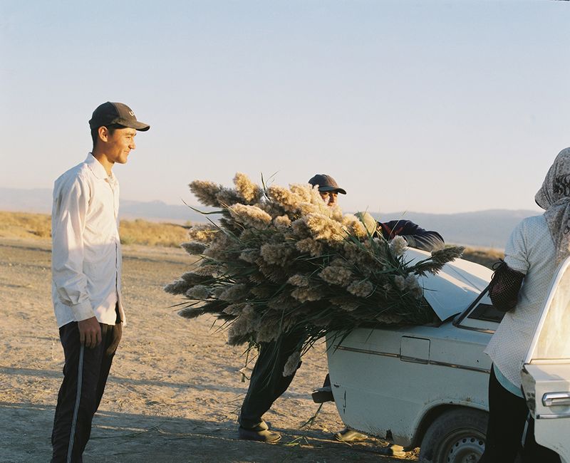 © Kamila Rustambekova - Daily-waged workers helping farmers, Farish district, 2022