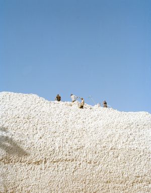 The Home, The Field and The Flux