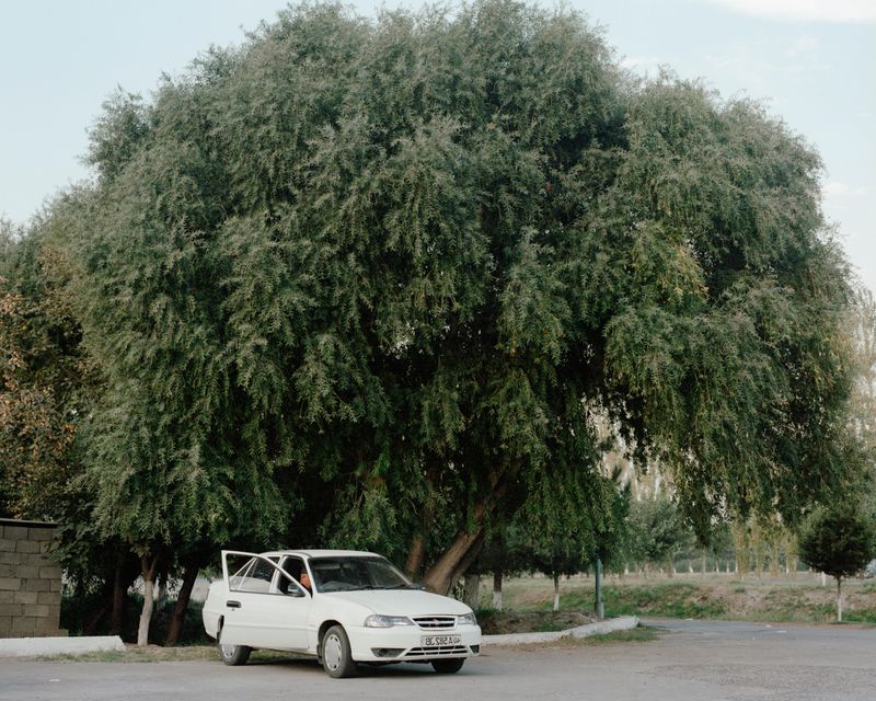 © Kamila Rustambekova - Image from the The Home, The Field and The Flux photography project