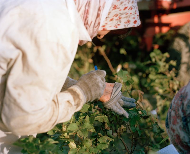 © Kamila Rustambekova - Image from the The Home, The Field and The Flux photography project