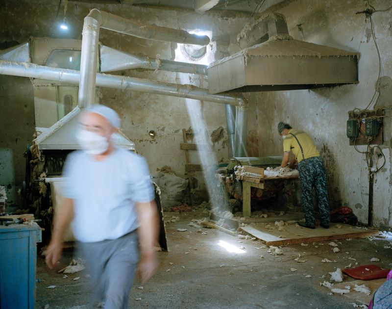 © Kamila Rustambekova - Image from the The Home, The Field and The Flux photography project