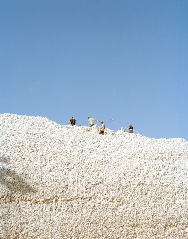 © Kamila Rustambekova - Image from the The Home, The Field and The Flux photography project