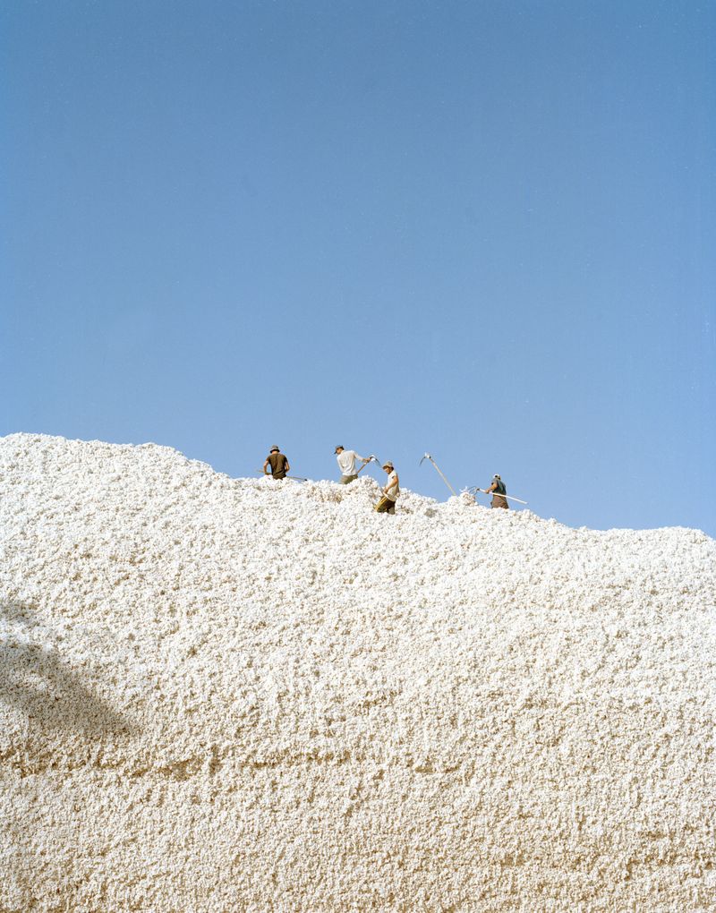 © Kamila Rustambekova - Image from the The Home, The Field and The Flux photography project