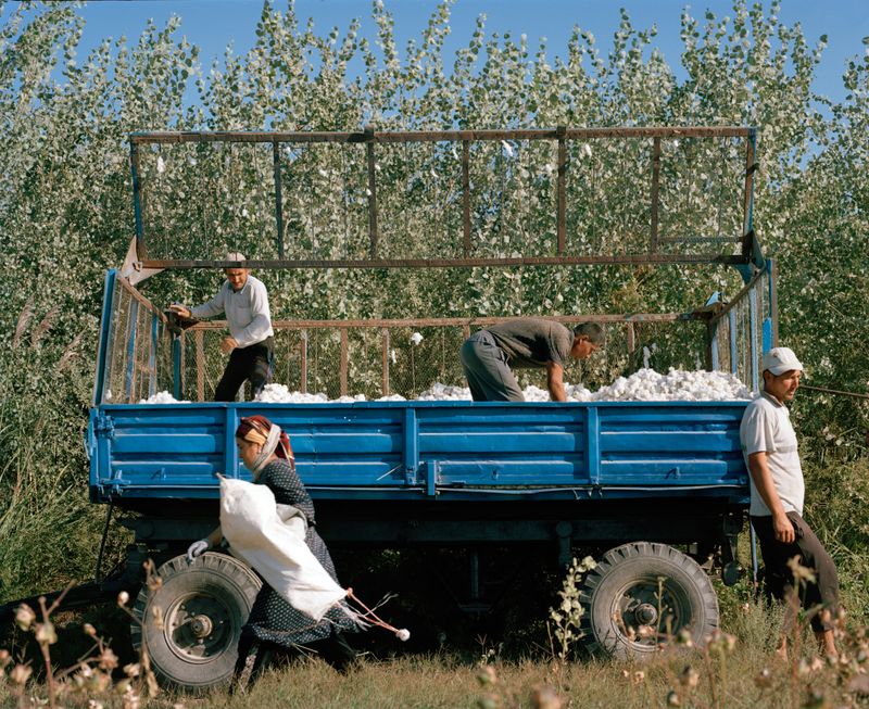 © Kamila Rustambekova - Image from the The Home, The Field and The Flux photography project