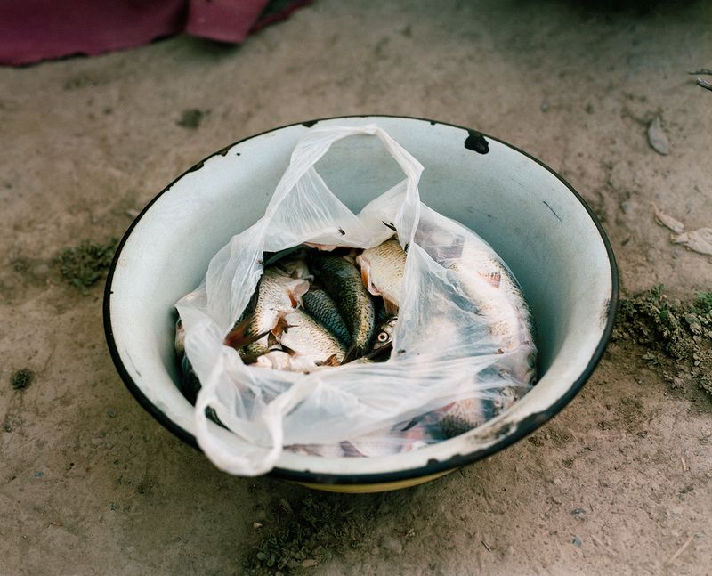 © Kamila Rustambekova - Image from the The Home, The Field and The Flux photography project