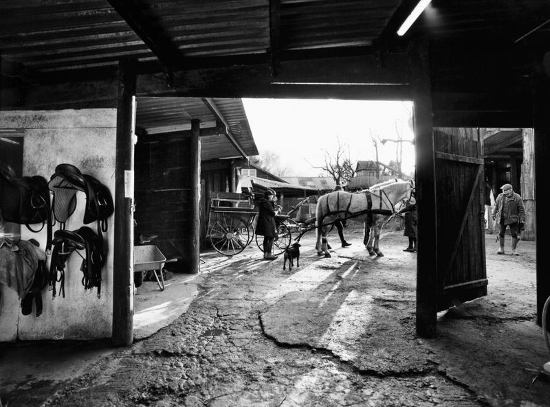 © Constance Jaeggi - Image from the The Devils photography project