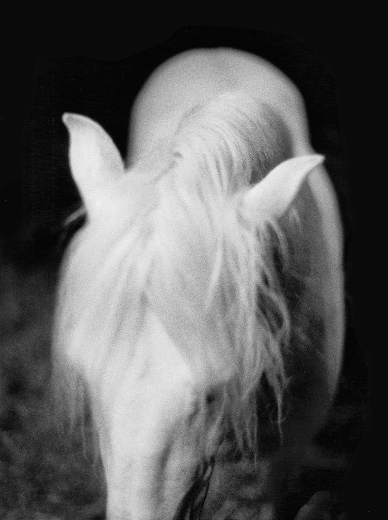 © Constance Jaeggi - Image from the The Devils photography project