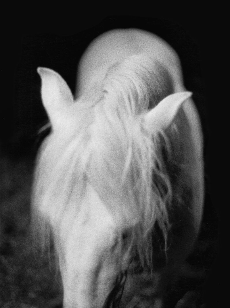 © Constance Jaeggi - Image from the The Devils photography project