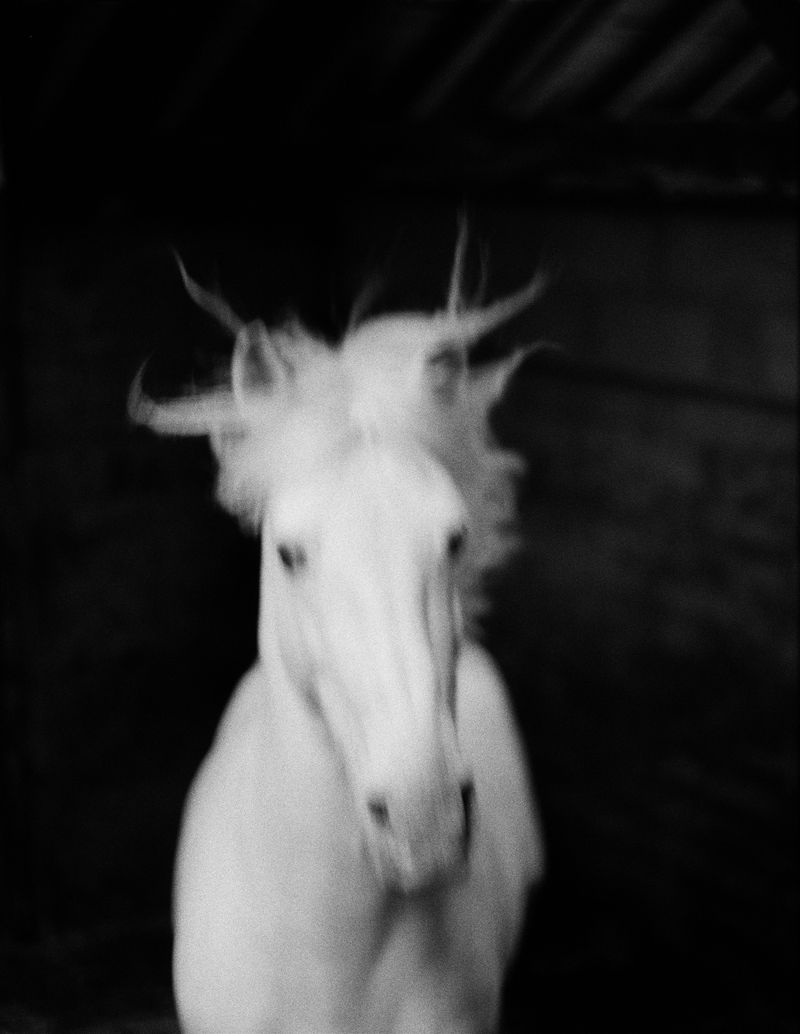 © Constance Jaeggi - Image from the The Devils photography project