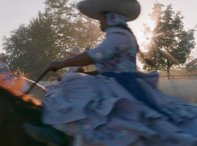 © Constance Jaeggi - Coronelas de Illinois. Manhattan, Illinois