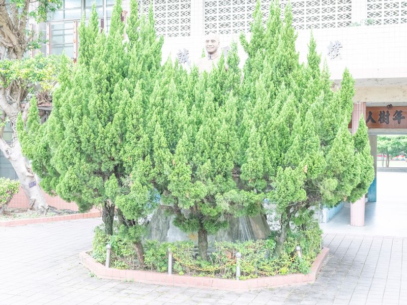 © Chung Ming Ko - Image from the The Graveyard of a Dictator photography project