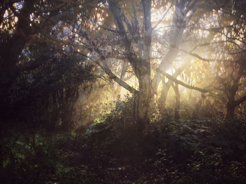 © Stefanie Young - Image from the Fictional Landscapes photography project