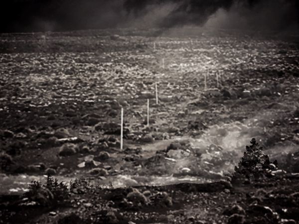 © Stefanie Young - Image from the Fictional Landscapes photography project