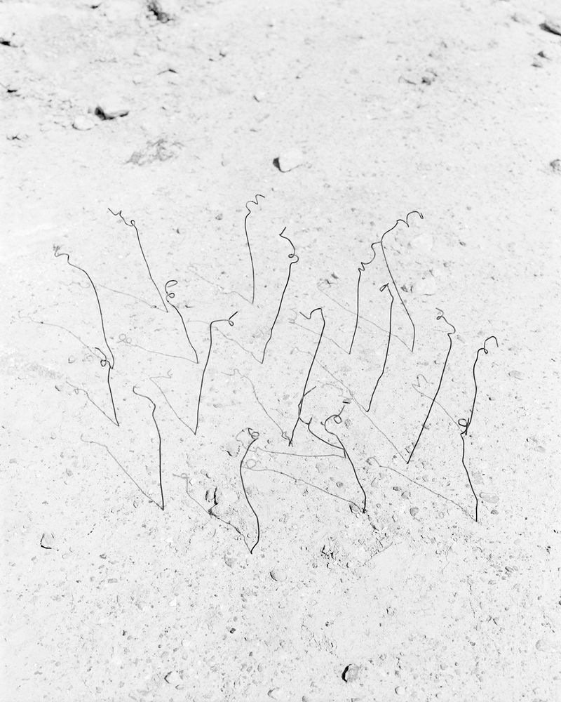 © Lois Cid - Image from the Melting Structures photography project