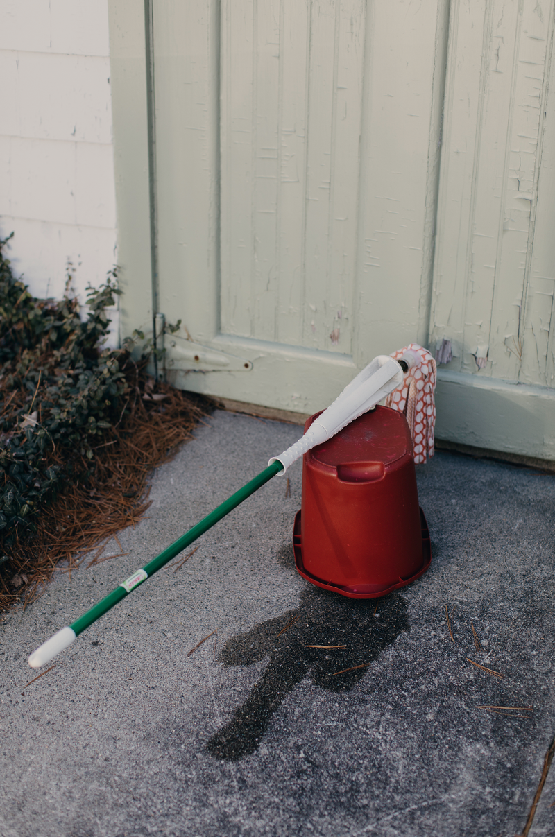© Hannah Latham - Morning Mop