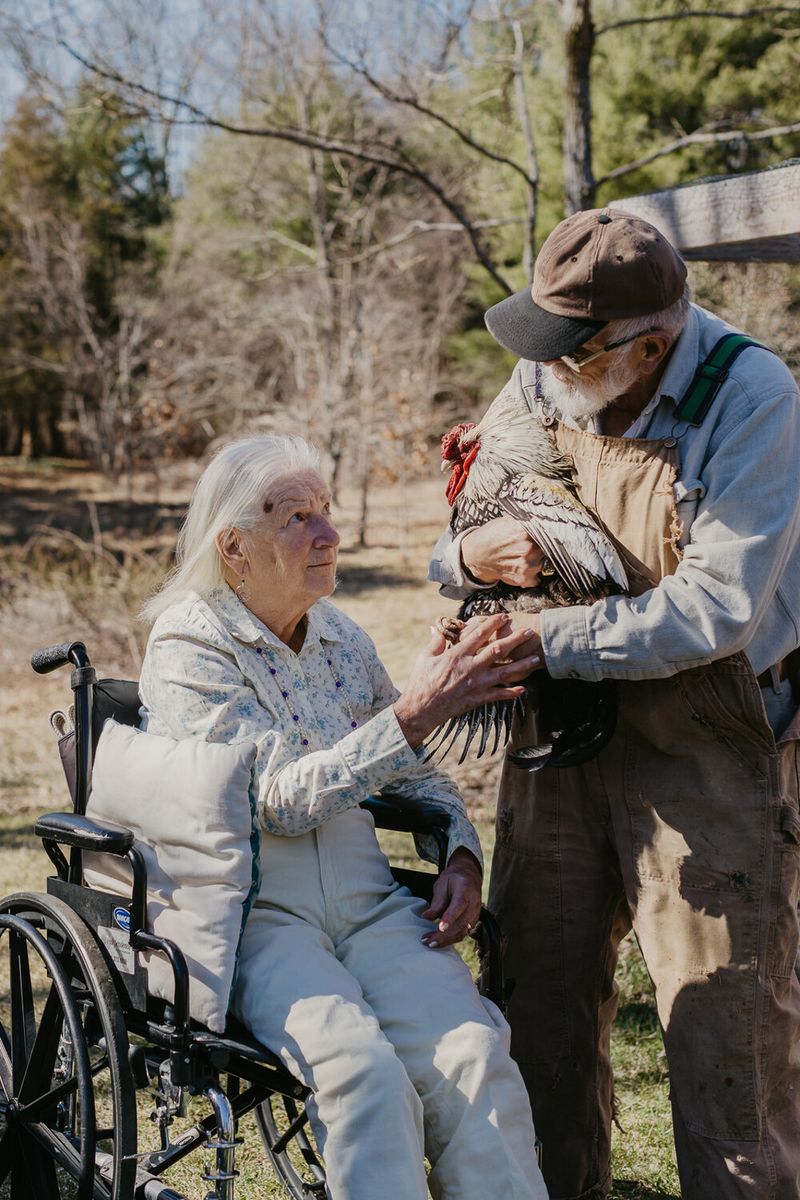 © Hannah Latham - Greeting Mr. Rooster