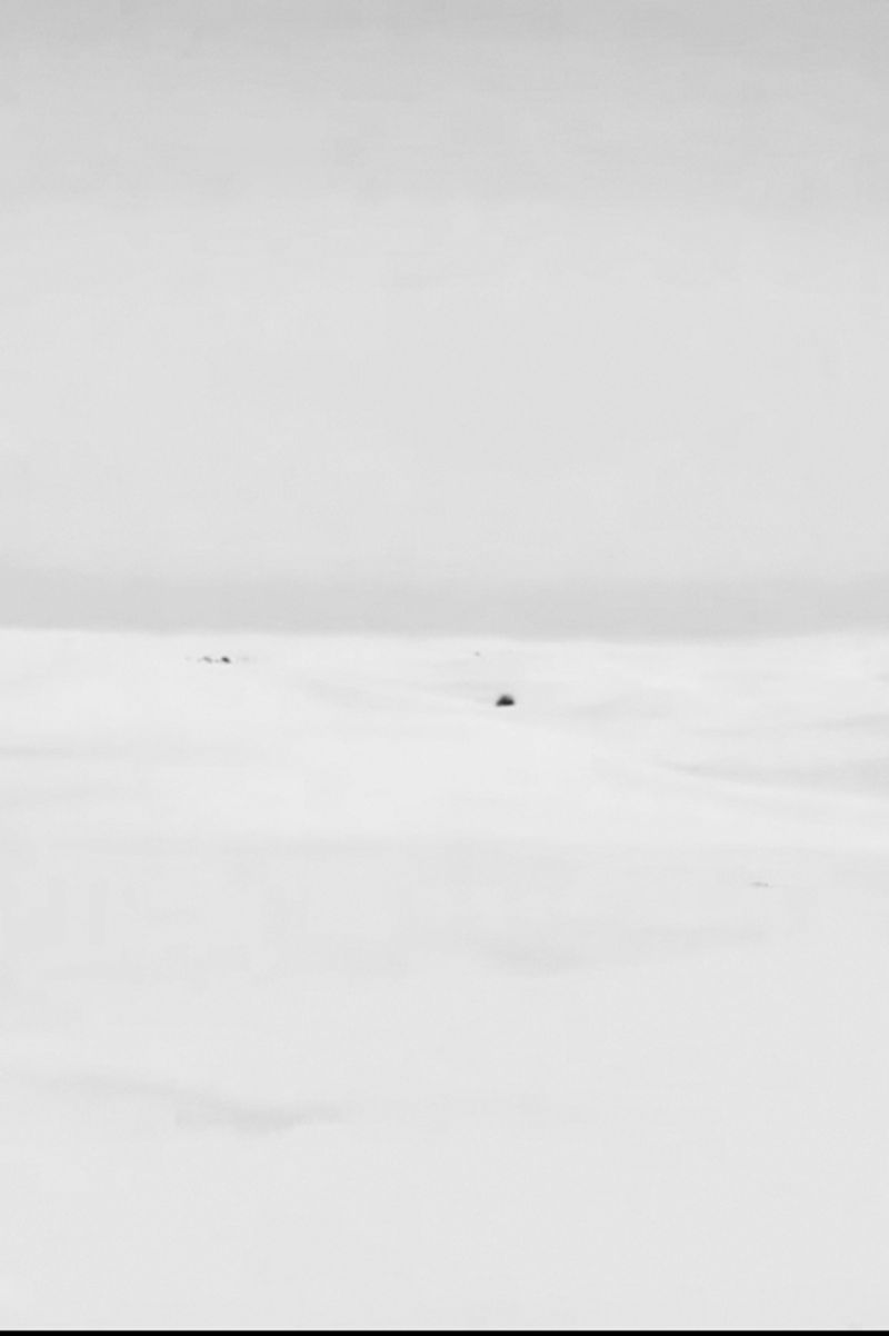 © Valentina Abenavoli - Image from the Anaesthesia photography project