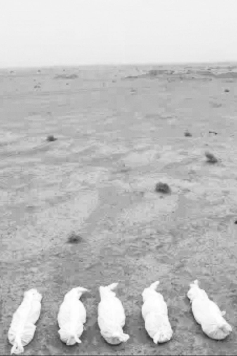 © Valentina Abenavoli - Image from the Anaesthesia photography project