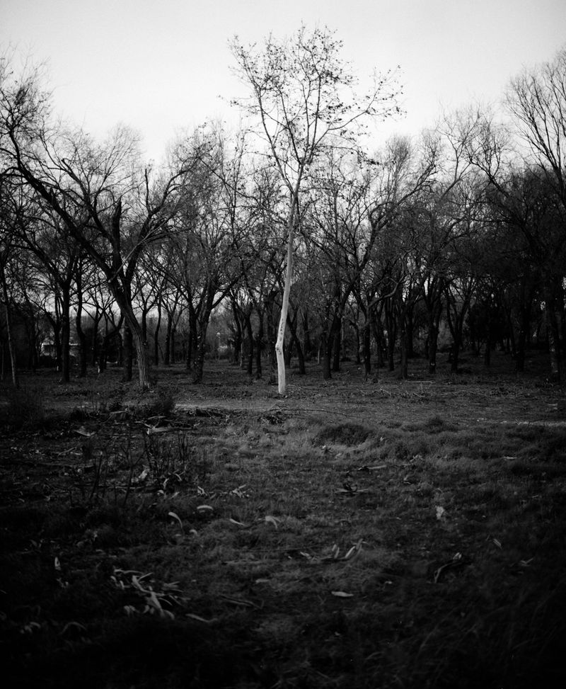 © Gerard Boyer - Image from the The shadow of the cloud photography project