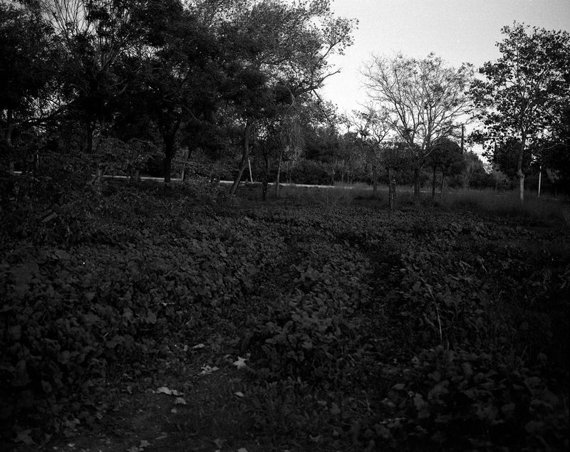 © Gerard Boyer - Image from the The shadow of the cloud photography project