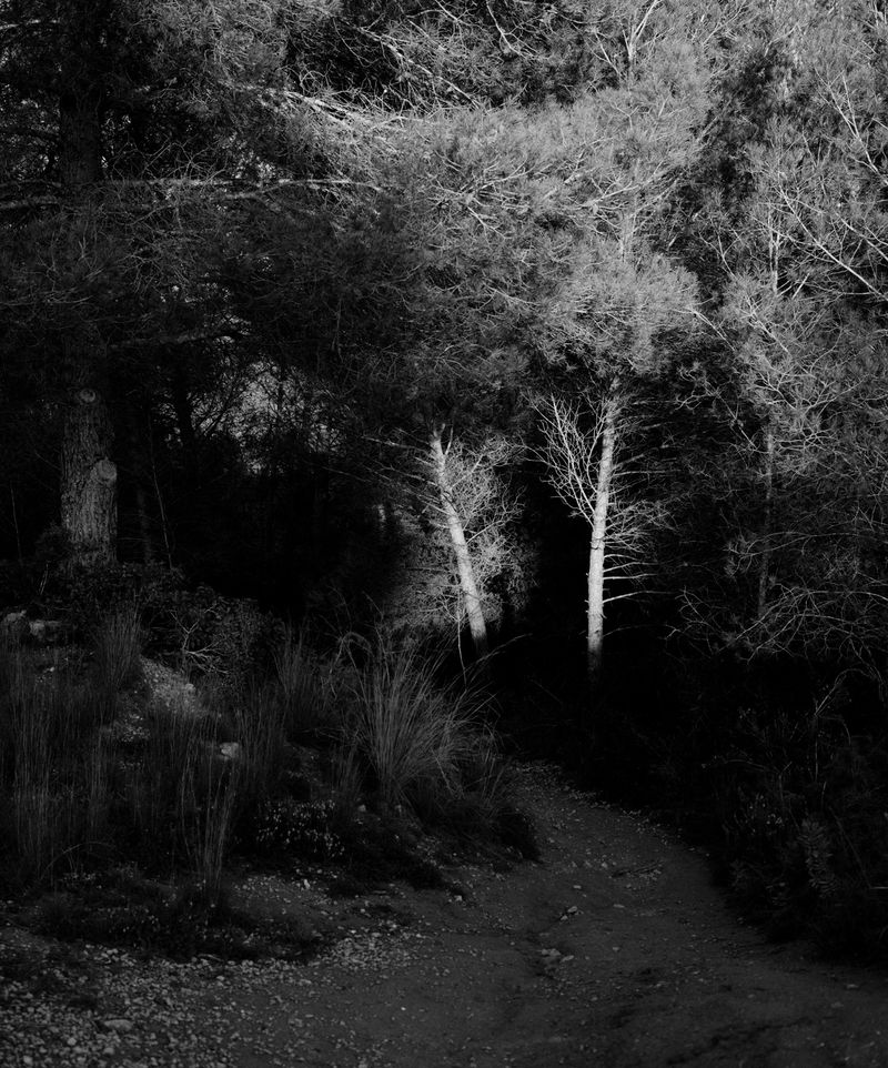 © Gerard Boyer - Image from the The shadow of the cloud photography project