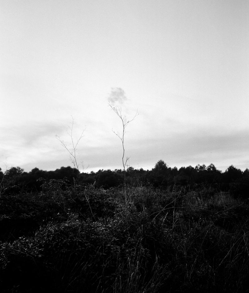 © Gerard Boyer - Image from the The shadow of the cloud photography project