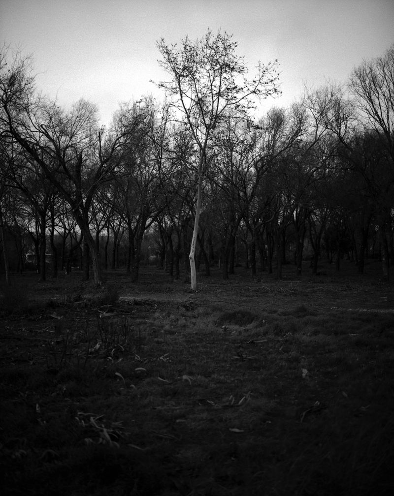 © Gerard Boyer - Image from the The shadow of the cloud photography project