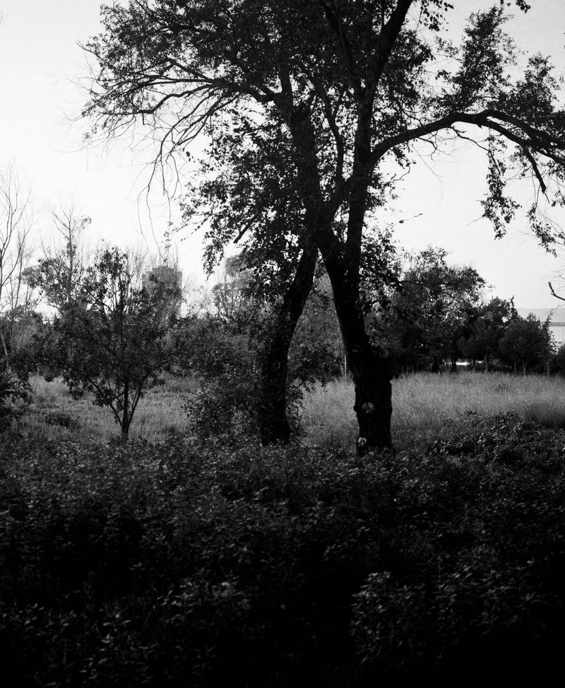 © Gerard Boyer - Image from the The shadow of the cloud photography project