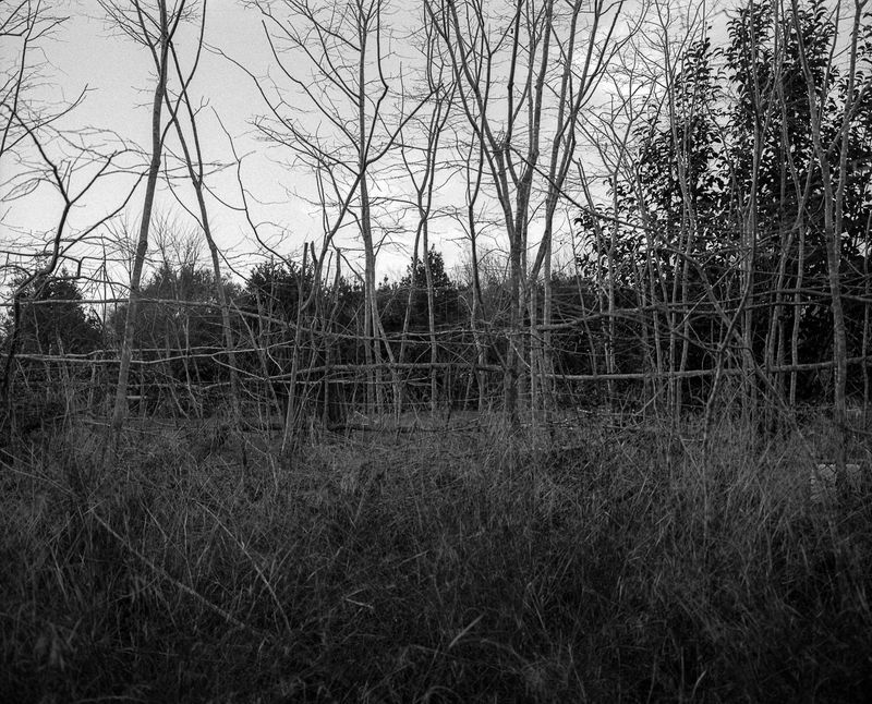© Gerard Boyer - Image from the Intermezzo photography project
