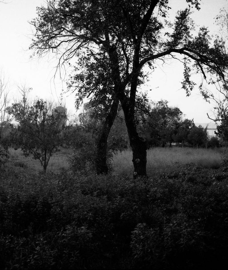 © Gerard Boyer - Image from the Intermezzo photography project