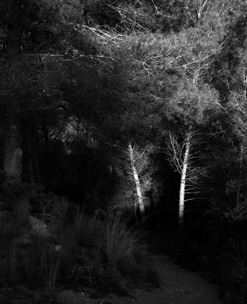 © Gerard Boyer - Image from the Intermezzo photography project