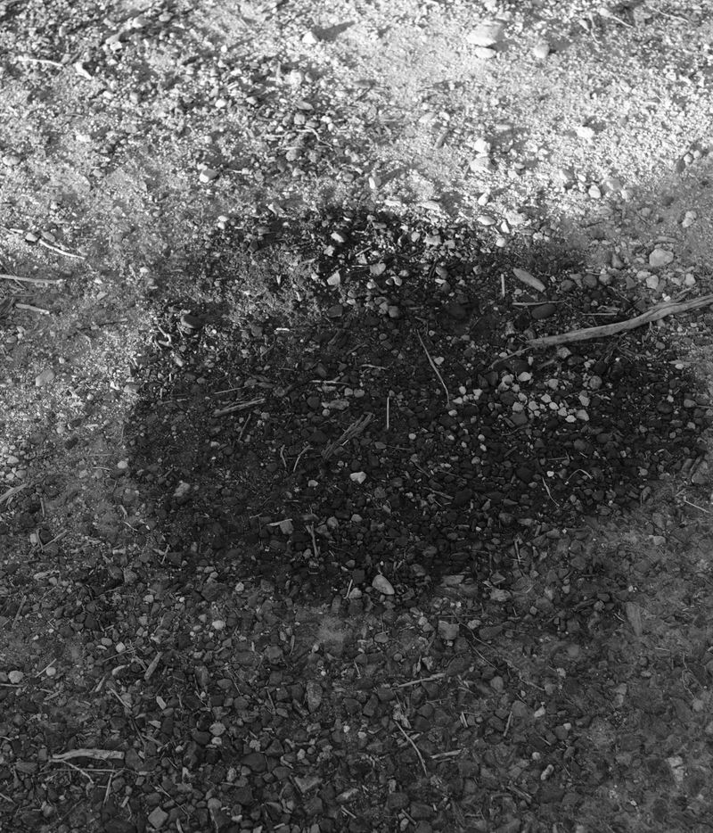 © Gerard Boyer - Image from the Intermezzo photography project