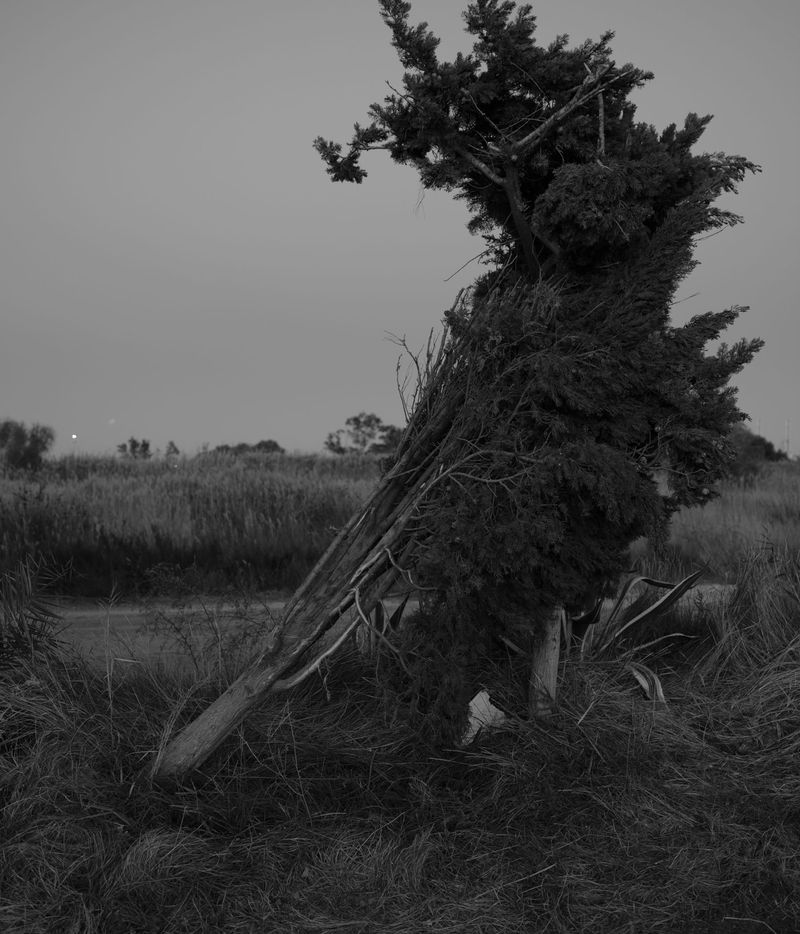 © Gerard Boyer - Image from the Intermezzo photography project