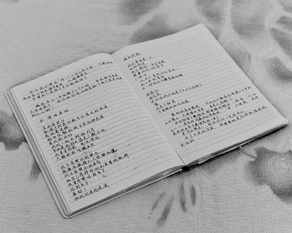 © Tara Fallaux - Image from the Wild Poppy photography project