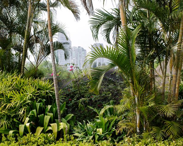 © Tara Fallaux - Image from the Wild Poppy photography project