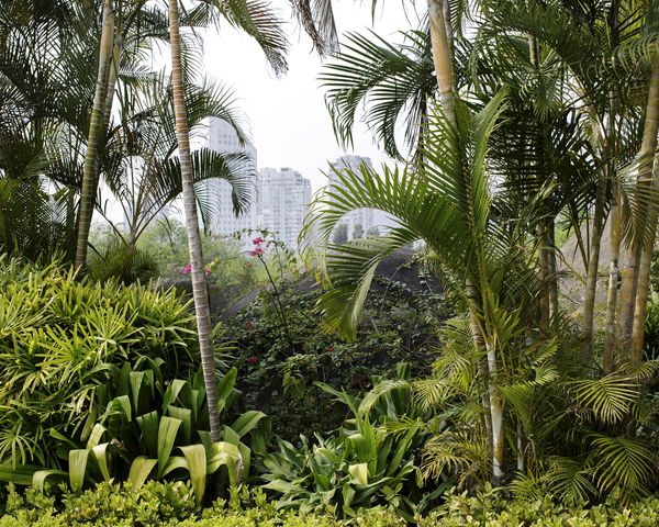 © Tara Fallaux - Image from the Wild Poppy photography project