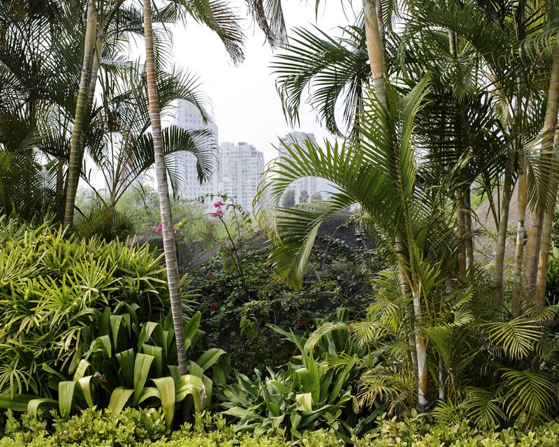 © Tara Fallaux - Image from the Wild Poppy photography project