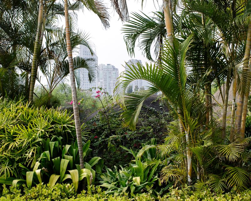 © Tara Fallaux - Image from the Wild Poppy photography project