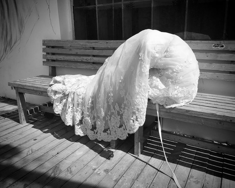 © Tara Fallaux - Image from the Wild Poppy photography project