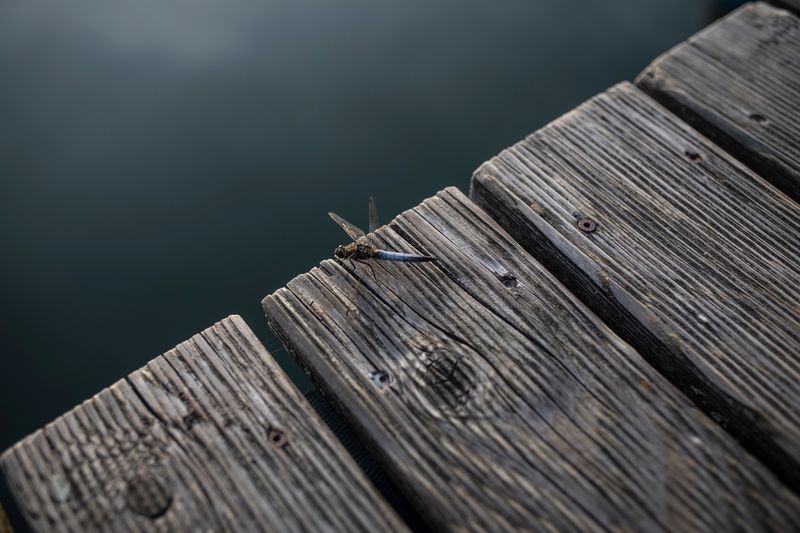 © Sina Niemeyer - Image from the On Every Third Day photography project